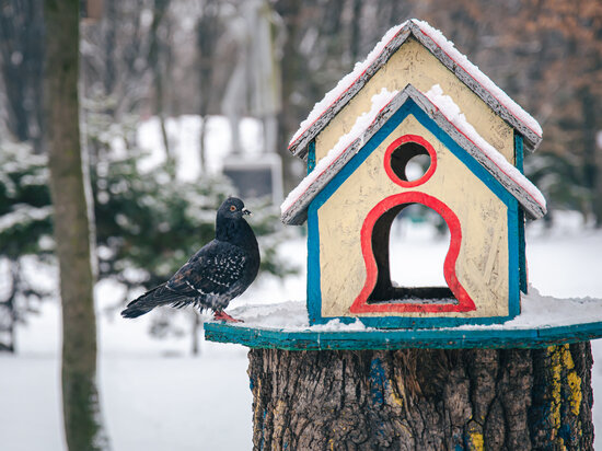     фото: freepik.com