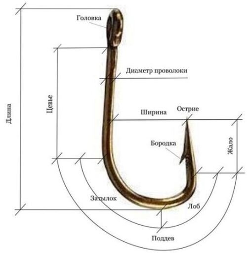 Первый крючок, для ловли рыбы, был сделан много тысяч лет назад.  Современный рыболовный крючок бывает маленький и большой, острый и не очень, черный или красный.-2