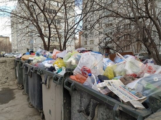     ФОТО: ГУСТАВО ЗЫРЯНОВ / "МК В ОМСКЕ"