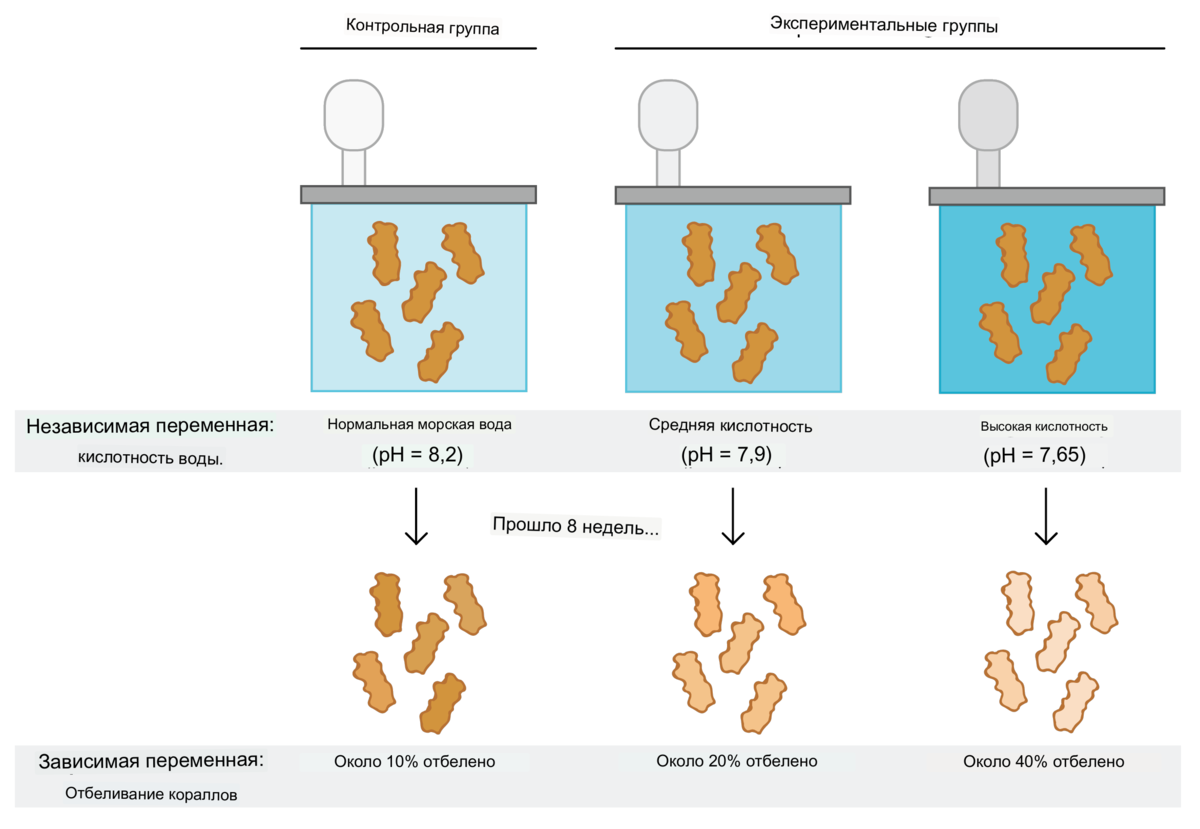 Article experiment. Dependent independent Controlled variables. Control Experiments. Design of Experiment. Scientific variables.