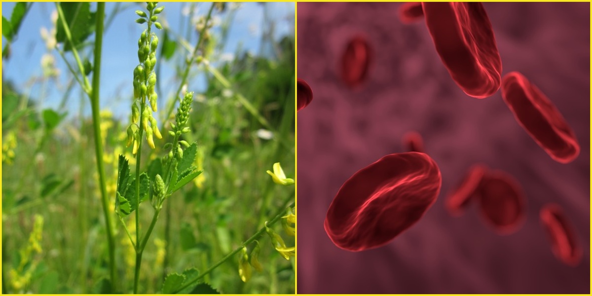 Источник изображения: pixabay.com