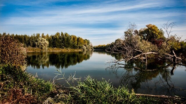 фото взято с сайта Pinterest.com