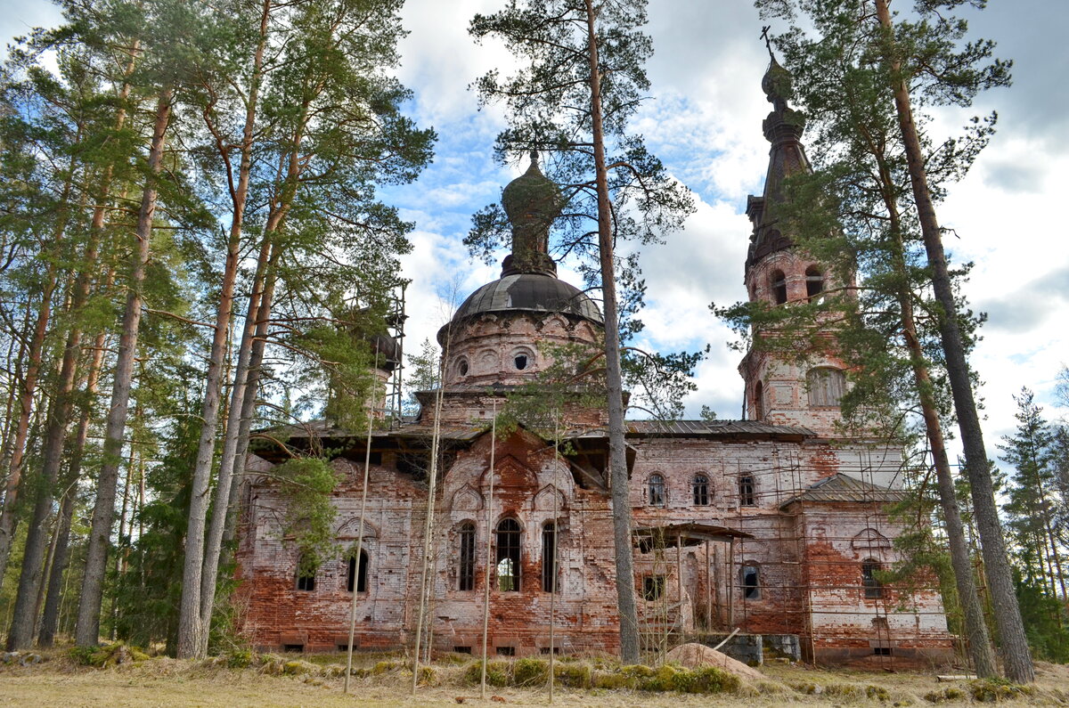 Девонский обрыв фото