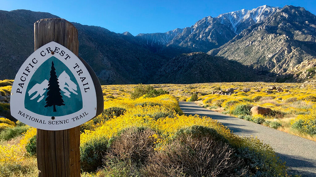 Pacific Crest Trail США