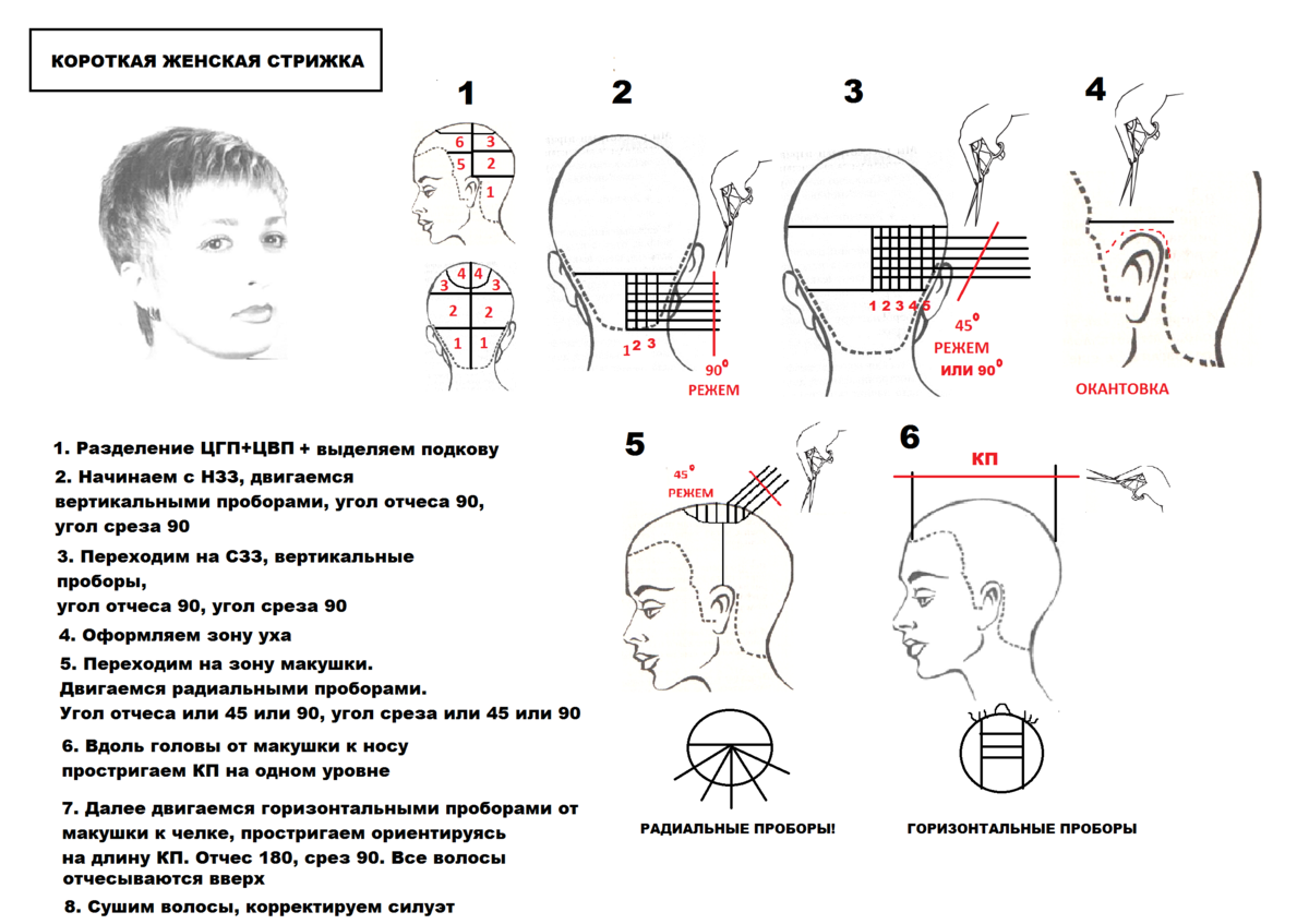 Схемы парикмахера. Технология стрижки Гарсон схема. Технология выполнения стрижки Гарсон на короткие волосы. Схемы технологического процесса стрижки. Технологическая карта выполнения стрижки градуированной формы.