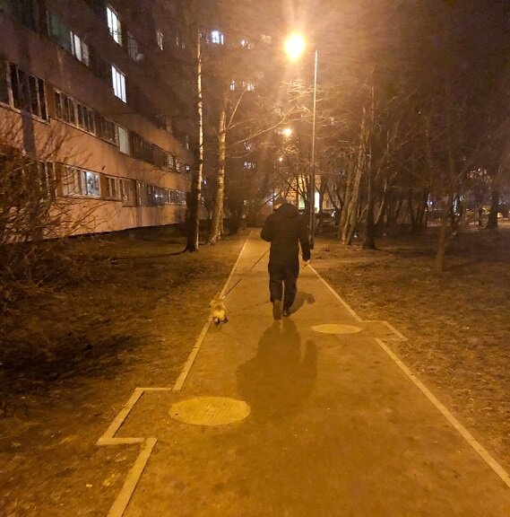 Вечерние прогулки самые классные. Никто никуда не торопится. Можно вдоволь набегаться и подышать свежим воздухом...