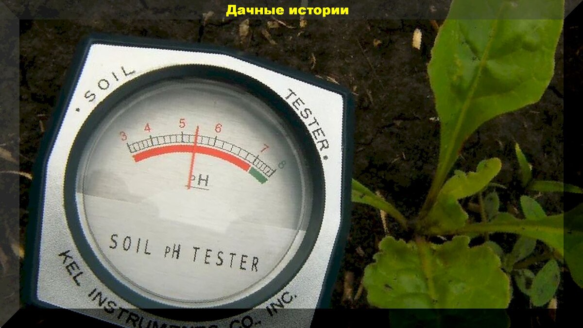 https://vk.com/photo-159774511_456241622