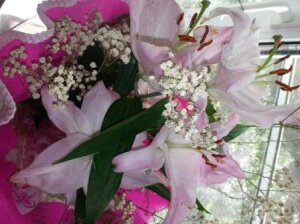 Если Венера расположена в знаках Огня ( Овен, Лев, Стрелец), такие мужчины обращают внимание на женщин ярких, активных, напористых, очень заметных в коллективе, на улице, обращающих на себя всеобщее внимание, как своей красотой, так и просто вызовом общепринятым нормам. Если вы с первого раза не произвели впечатление на такого мужчину, то второго шанса у вас просто нет.