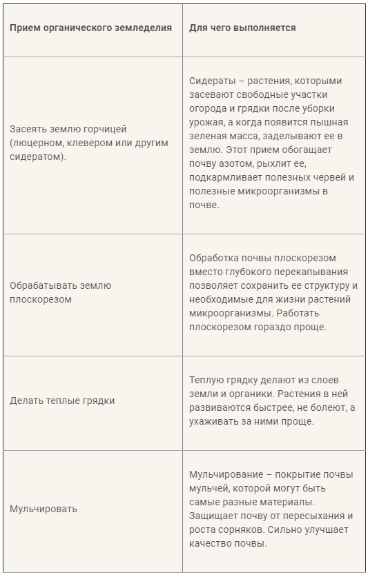 Что такое умный огород без хлопот