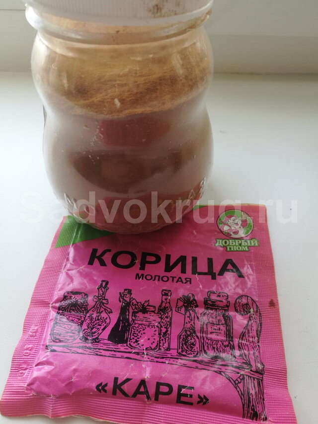 Готовим чудо-отвар на основе корицы