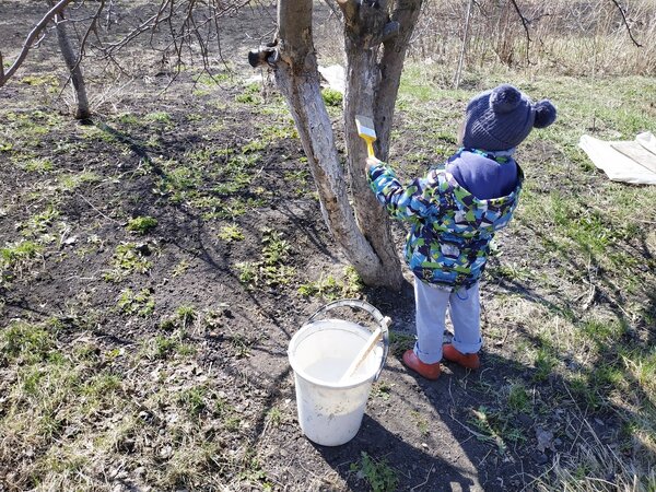 Случайно увидел, как 3-летний сын ведет себя с девочкой постарше