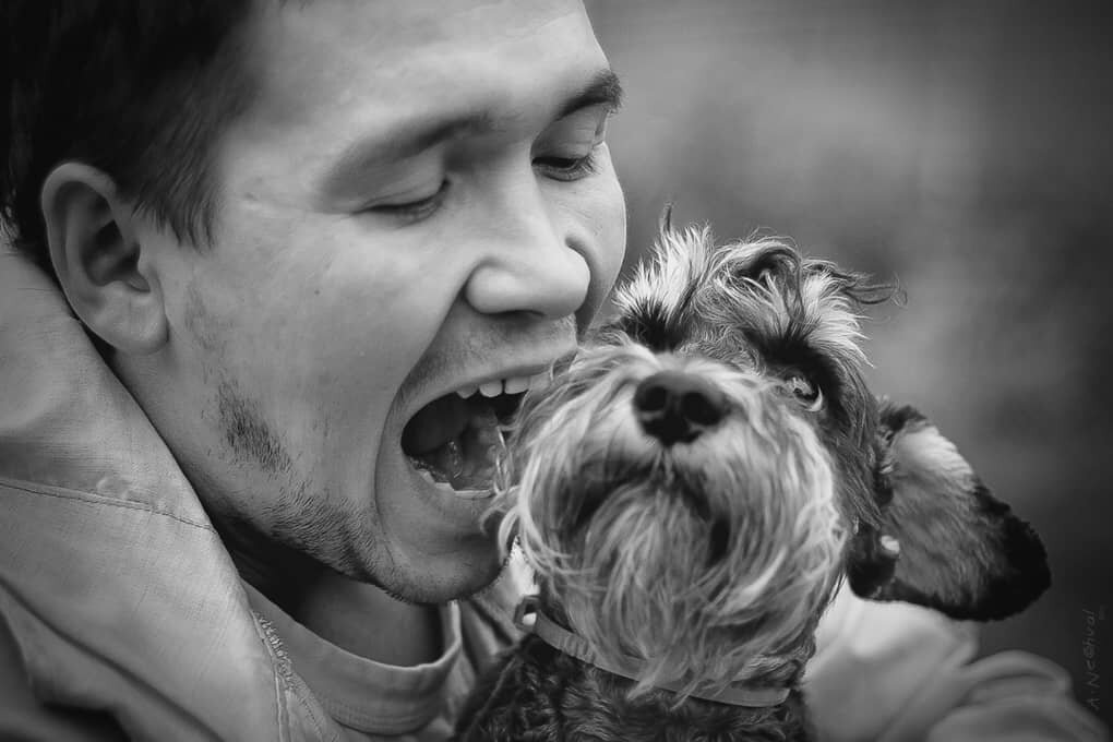 фото из интернета