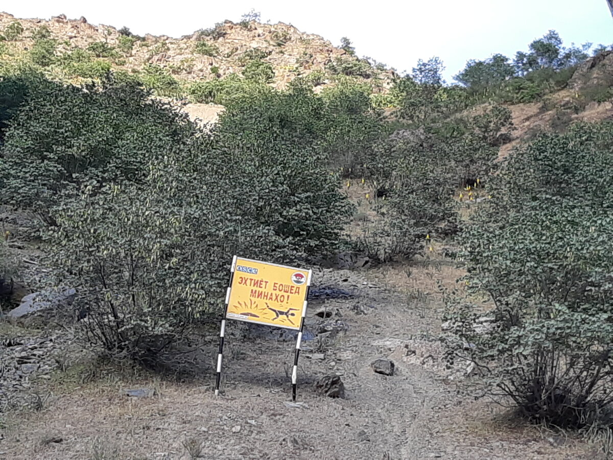 Сходить, посмотреть, что там в кустах за плакатом?