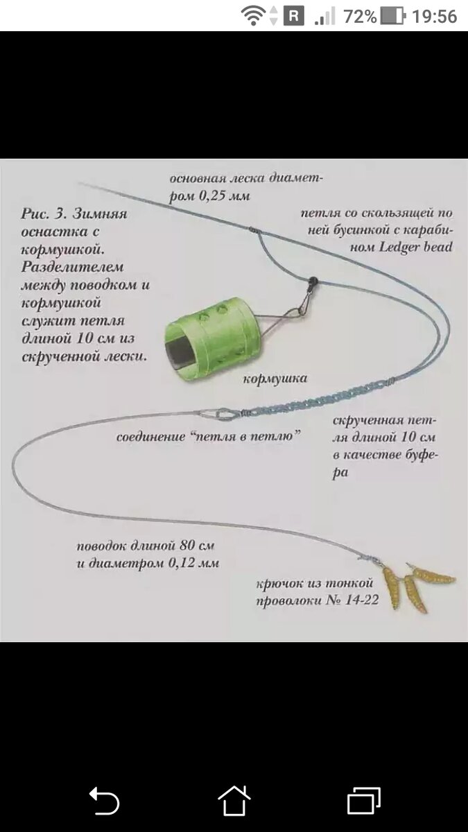 На что ловить леща на фидер. Улов на фидер. Петля патерностер для фидера схема. На что ловить леща на фидер. Фидерная оснастка для ловли леща.