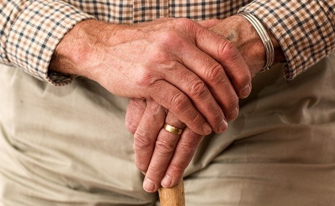  Фото: pixabay.com