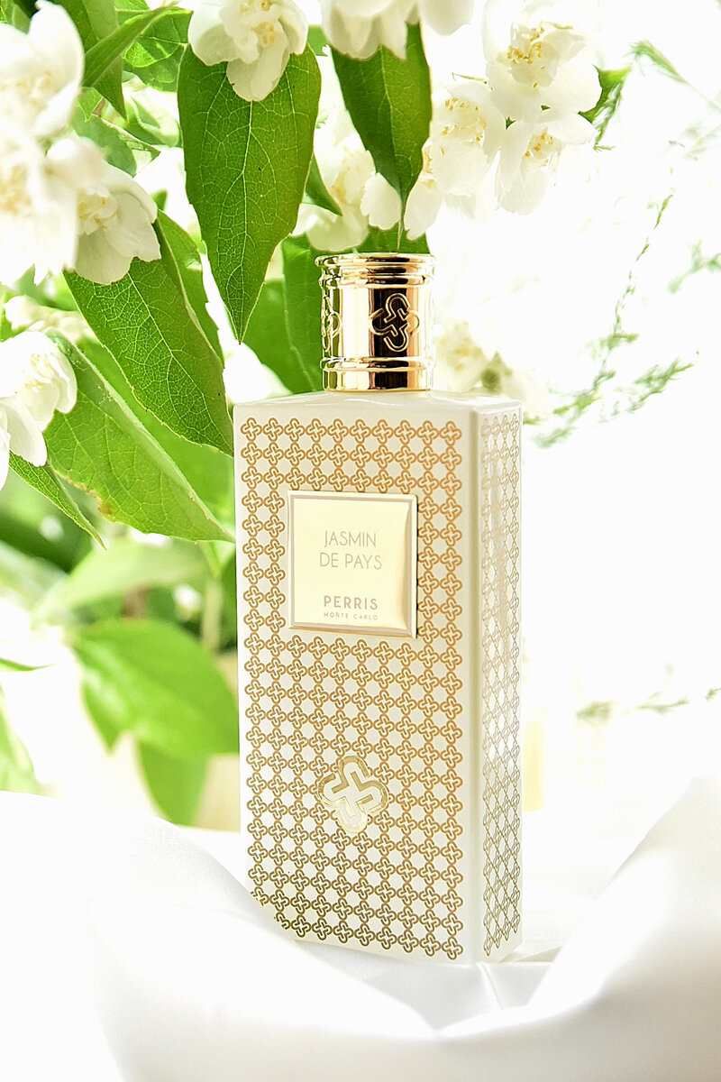 Jasmin de Pays Perris Monte Carlo