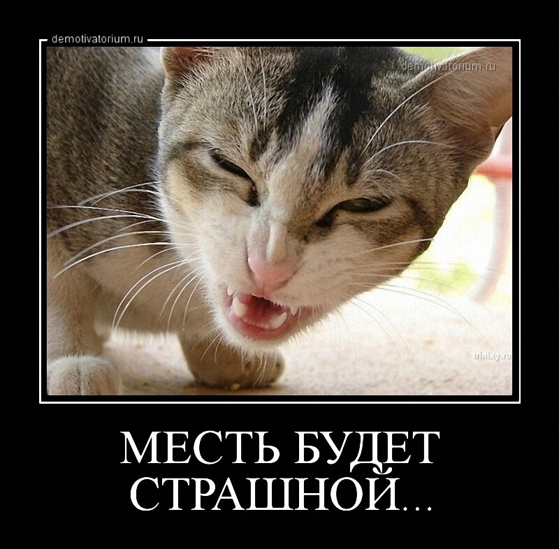 Картинки на тему месть