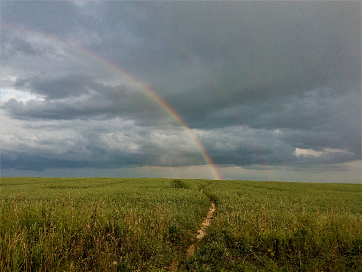 Двойная радуга над нашим полем. Фото автора.