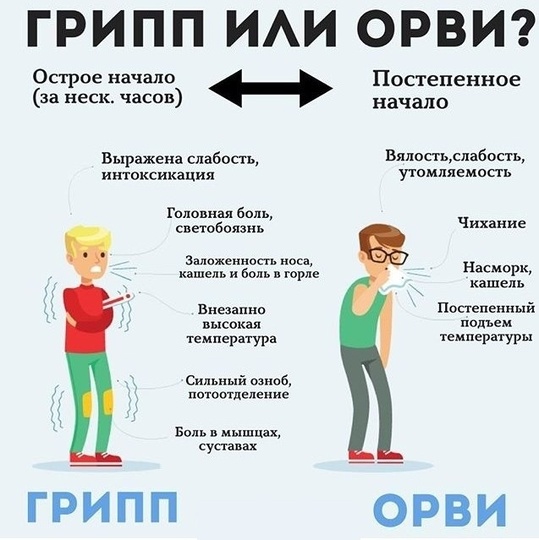Отличия гриппа орви коронавируса