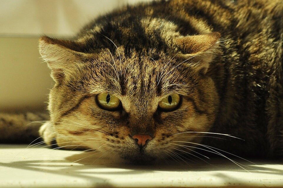 Пассивная агрессия - молчу, но навредить хочу