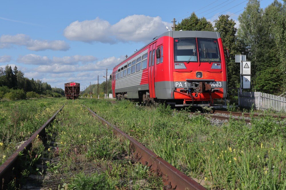 Кто куда вчера ездил, а я - в Рязановку! Единственное место в Московской области где можно проехать на вот таком маленьком рельсовом автобусе.

