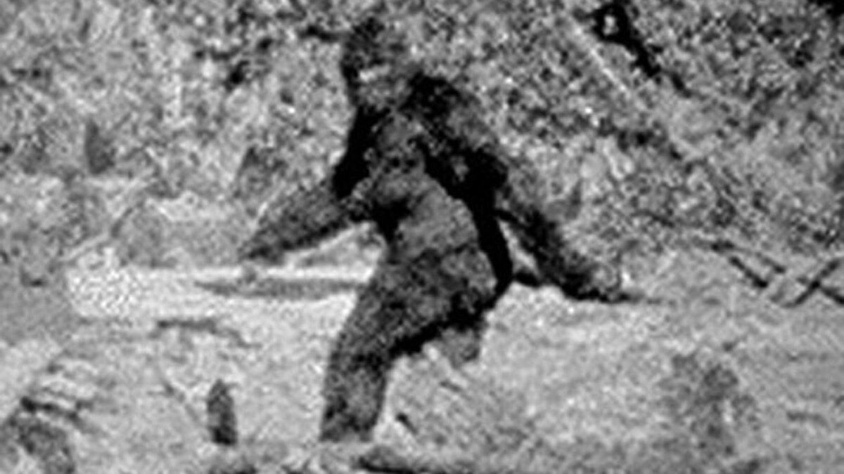 Фото взято из необъятных просторов интернета