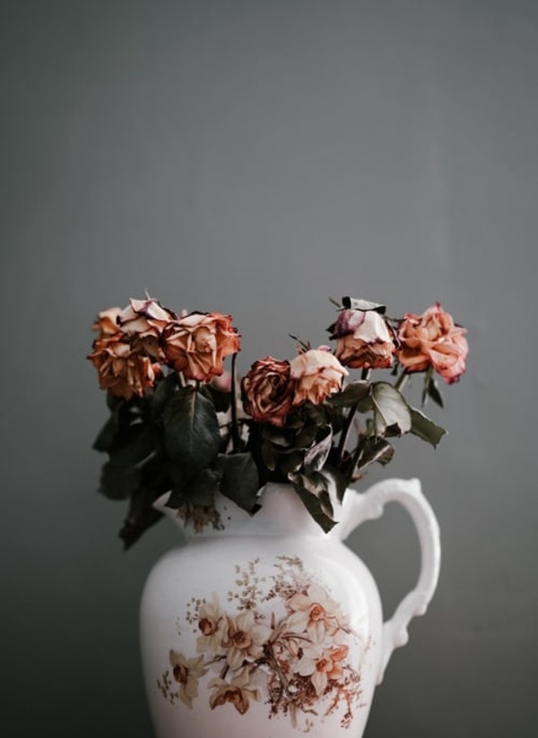 https://unsplash.com/photos/1msci6gS694
