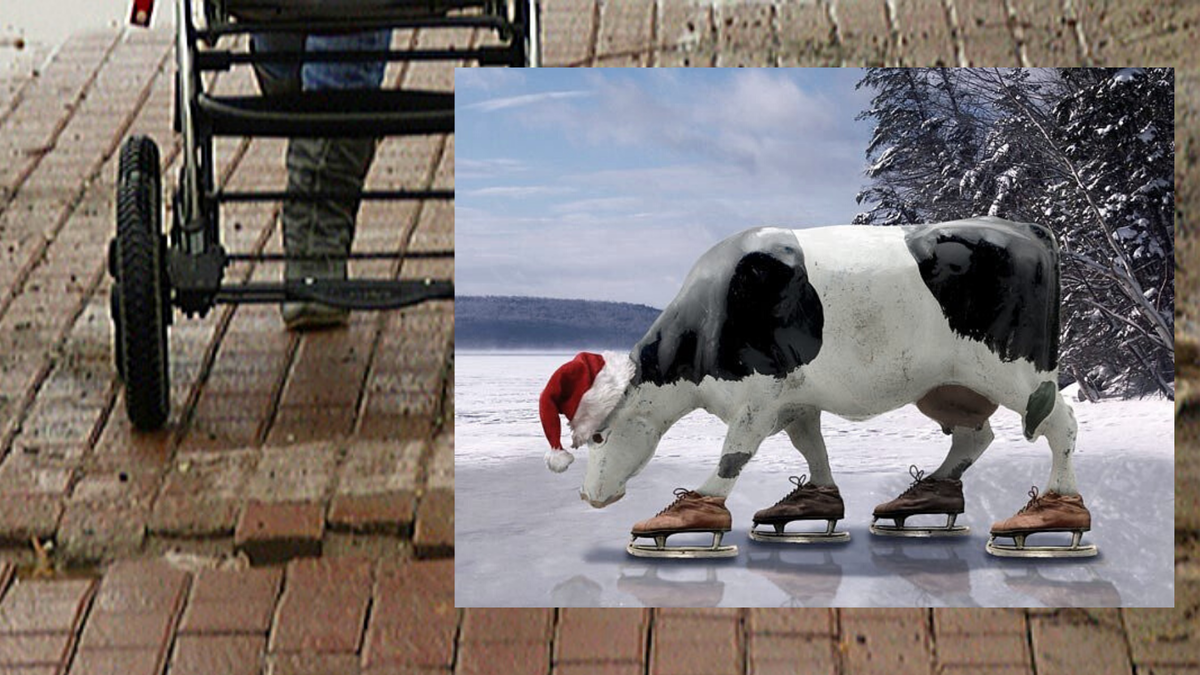 Коллаж к статье, источник картинок - Яндекс-Картинки