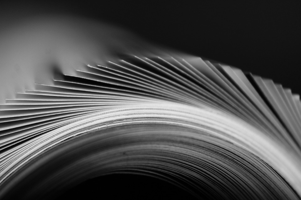 https://pixabay.com/ru/photos/%D0%B6%D1%83%D1%80%D0%BD%D0%B0%D0%BB-%D0%BF%D1%83%D0%B1%D0%BB%D0%B8%D0%BA%D0%B0%D1%86%D0%B8%D1%8F-%D1%81%D1%82%D1%80%D0%B0%D0%BD%D0%B8%D1%86%D1%8B-%D0%B1%D1%83%D0%BC%D0%B0%D0%B3%D0%B8-3526142/