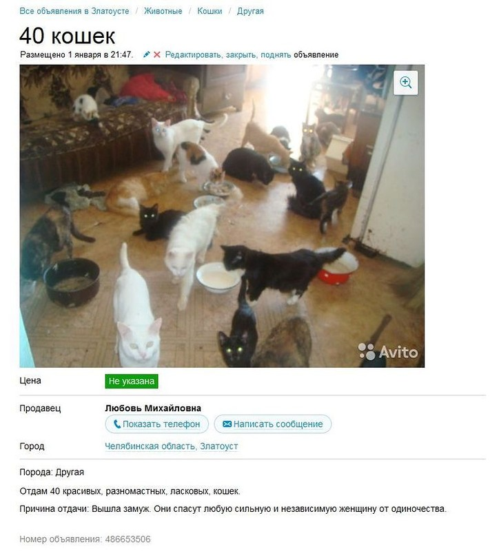 фото взято из открытых источников.