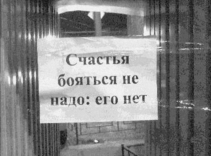 фото из интернета