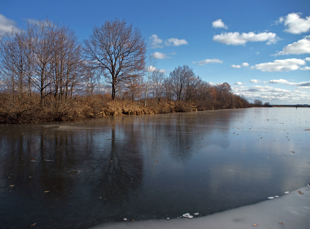Яндекс.Картинки