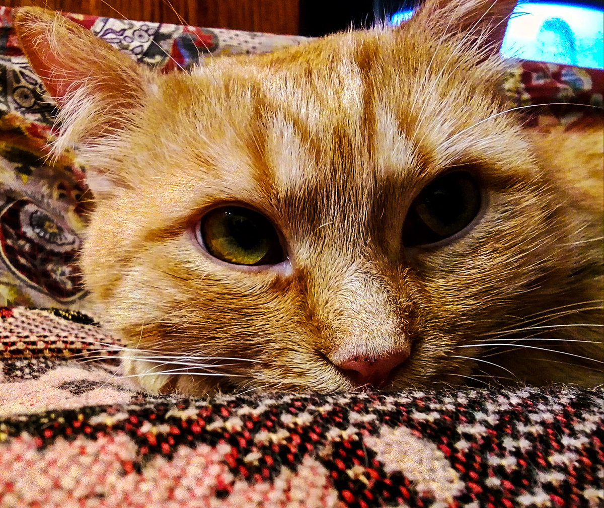 Таким он стал