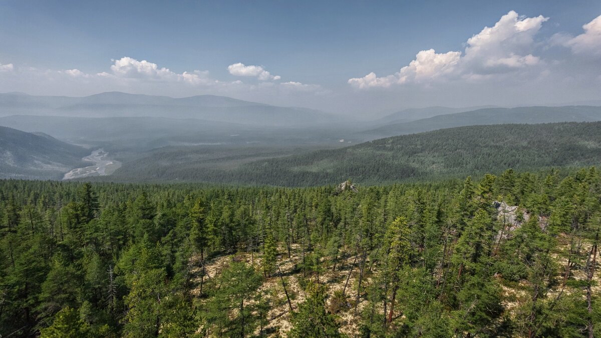 Джергинский заповедник Флора