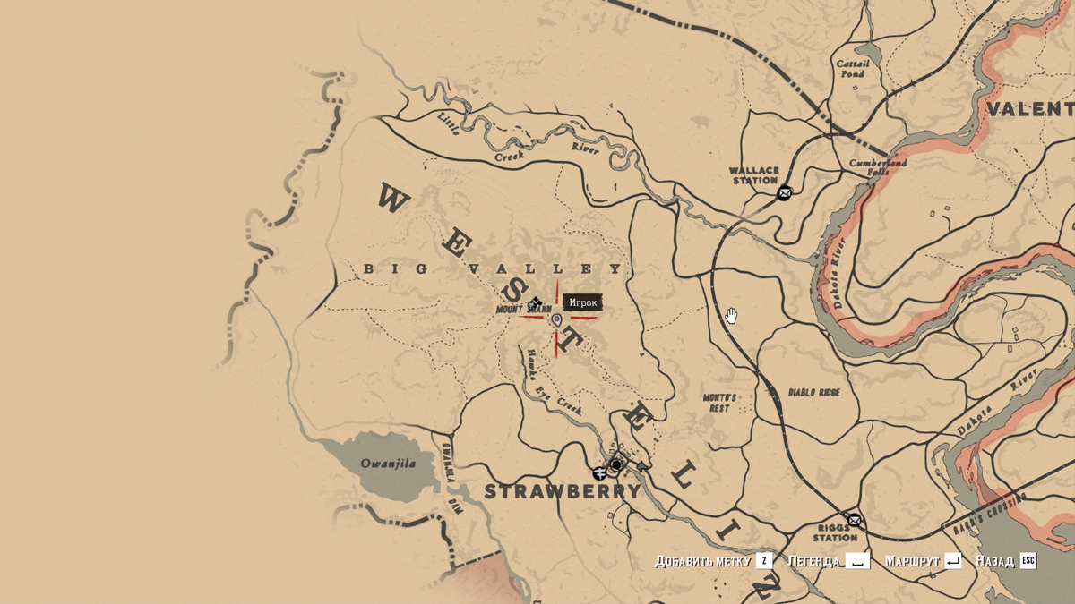 Rdr 2 карта орхидей