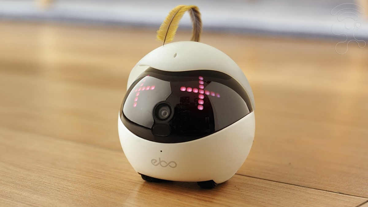 Умный робот компаньон. Робот Ebo. Робот компаньон для кошек. Kickstarter Electronic Cat. Картинка робомышка.