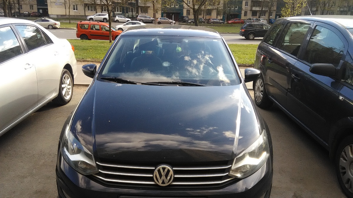 Это уже второй полик в семье