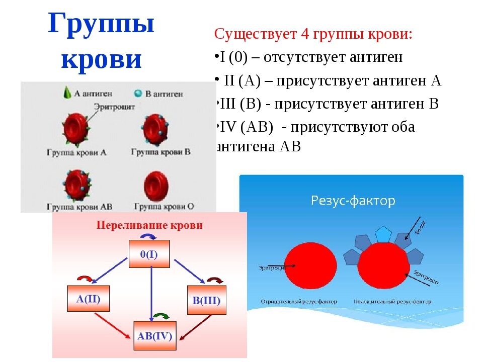 Карта групп крови