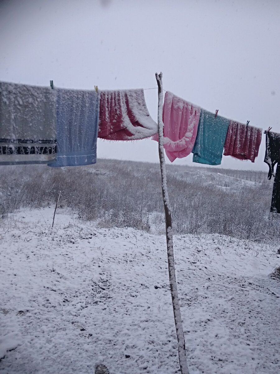 Фото сделано на границе в придорожном кафе