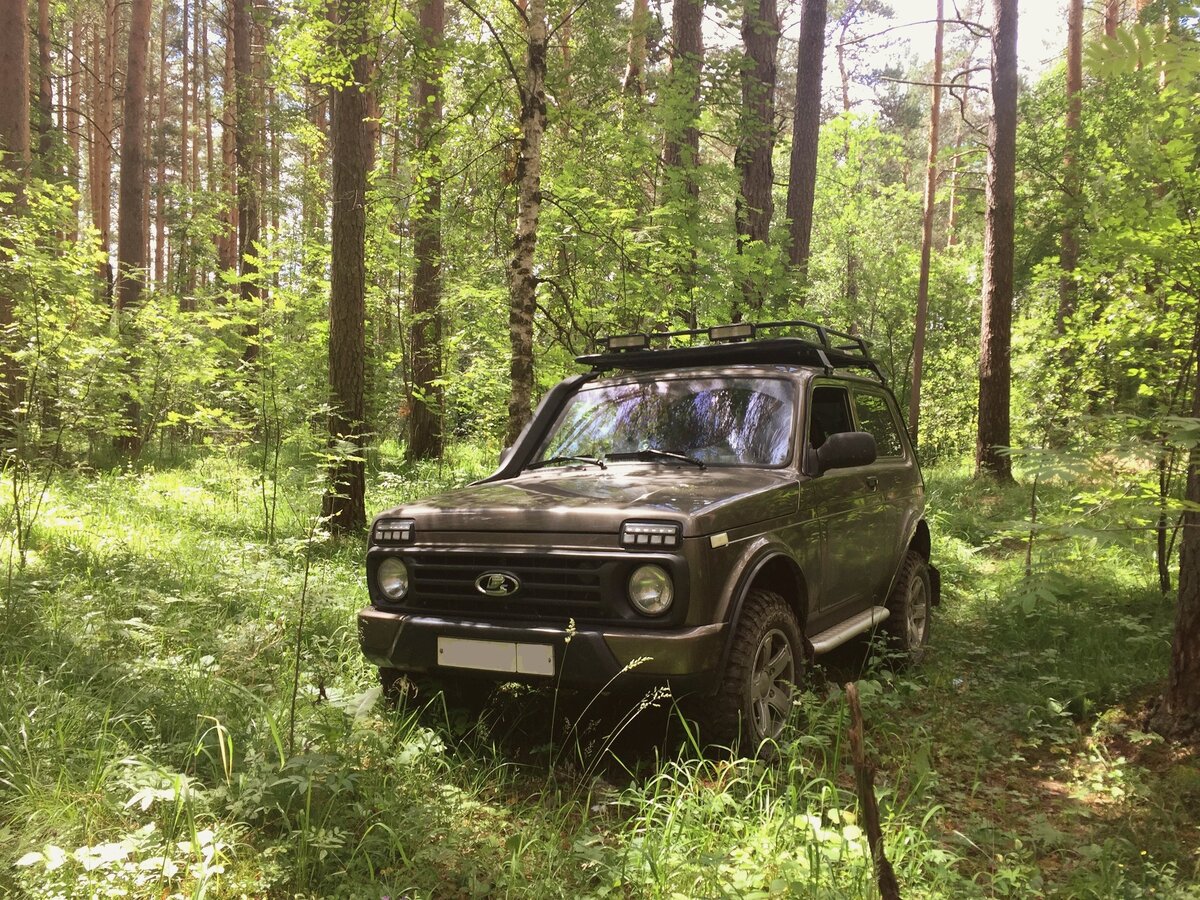 https://yandex.ru/search/?lr=53&clid=1882611&oprnd=8581287514&text=Нива%20в%20лесу%20картинки