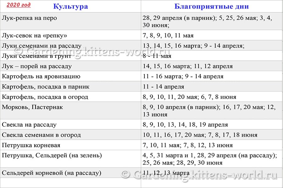 Гороскоп. Шоп