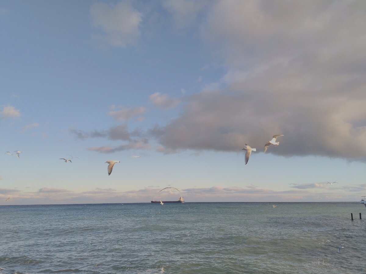 К этой фотографии я ещё вернусь.