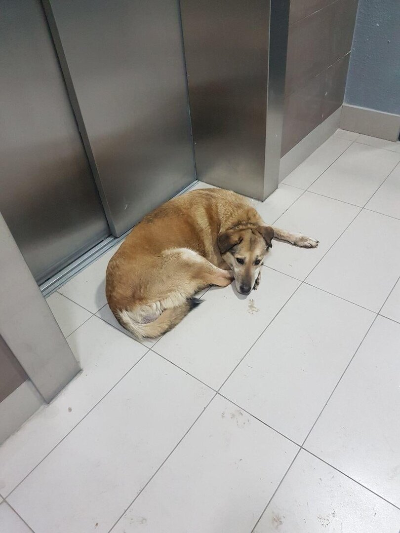 Ульяна еще в подъезде