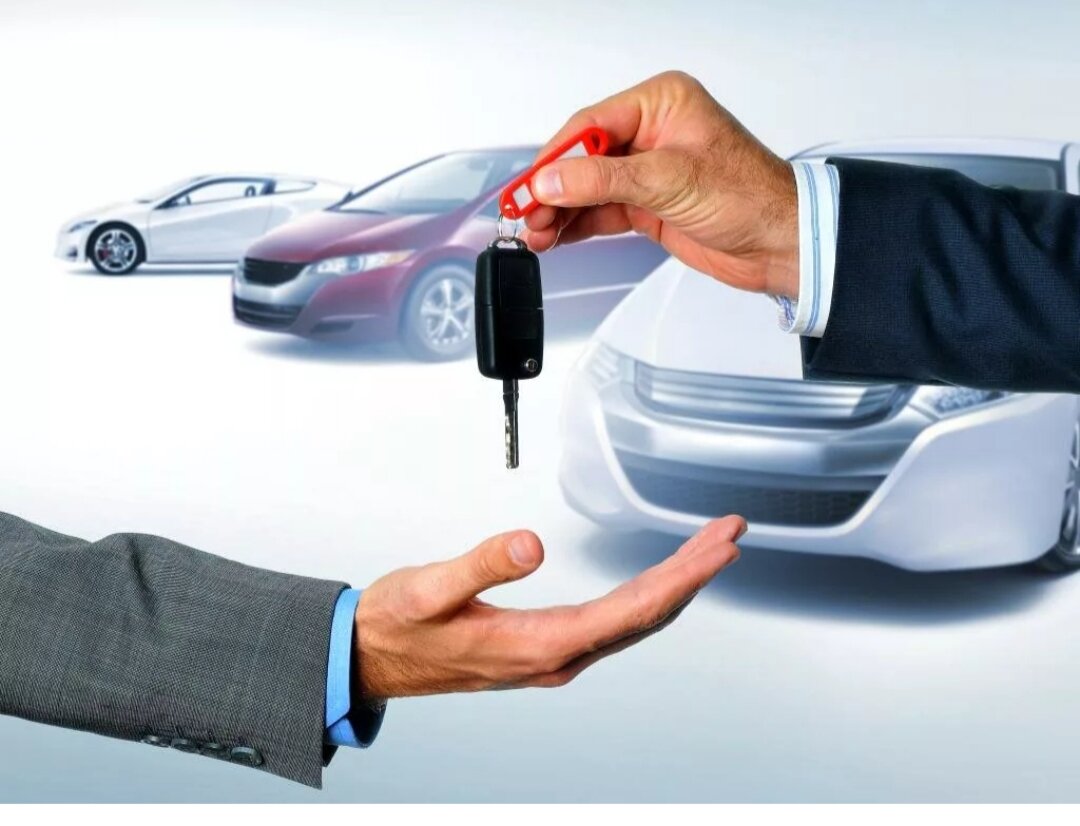 фото из интернета.