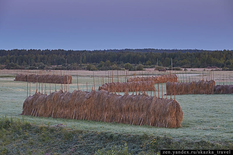 Луг в деревне со стогами сена