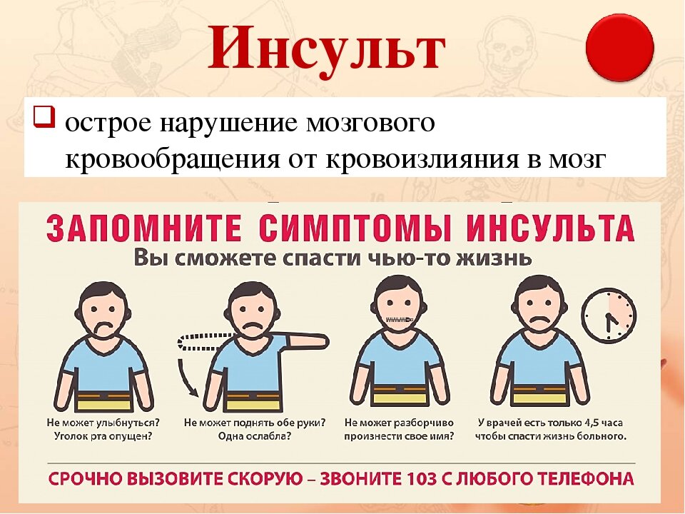 фото из интернета.