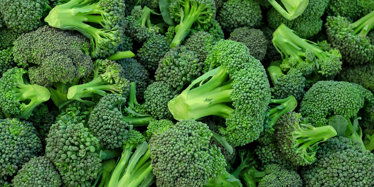 Источник фото: www.mycarolinalife.com