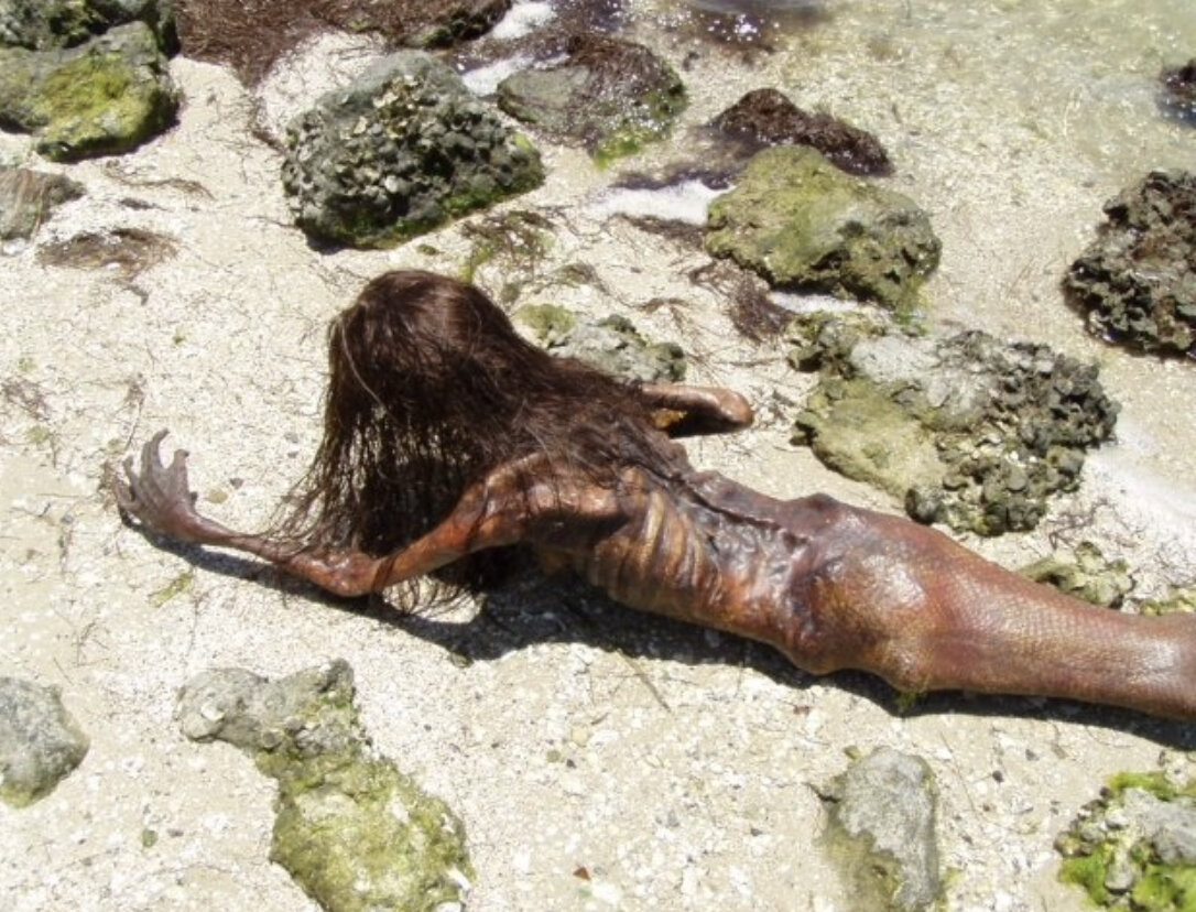 Этот снимок был сделан в прошлом месяце на побережье главного курорта России! Все туристы в шоке!