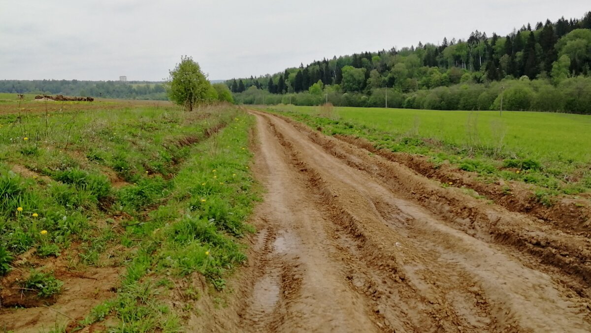 На велосипеде в Гремячий ключ. Что это за место? Мой маршрут. | Охотник за  картинками | Дзен