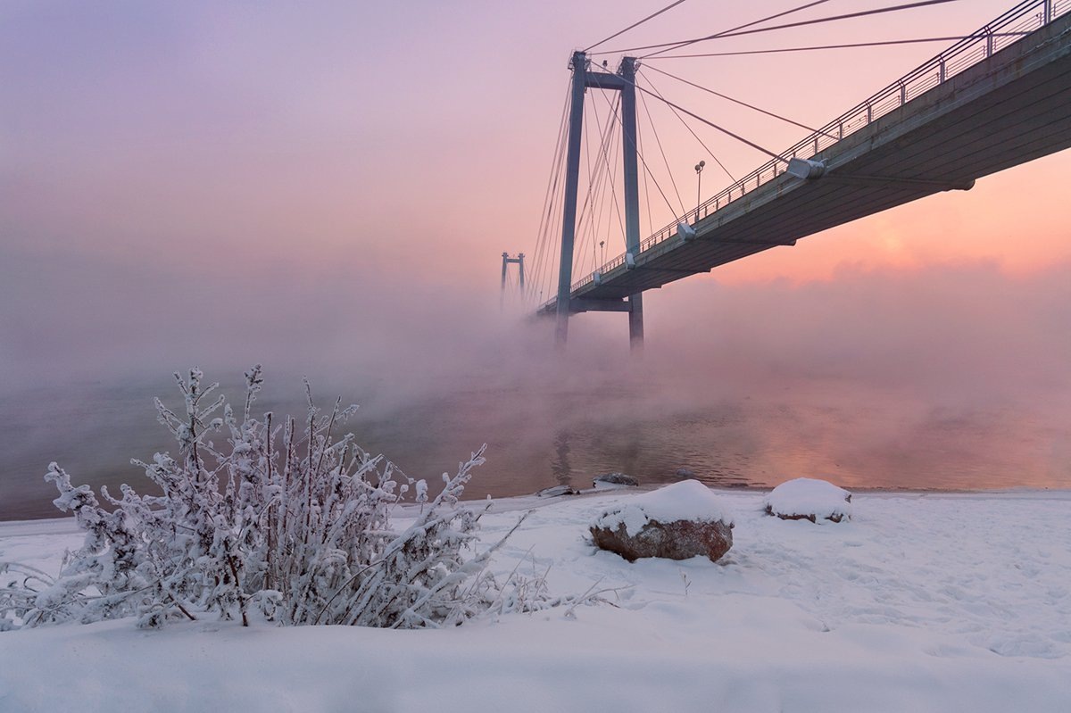 Фото: nat-geo.ru